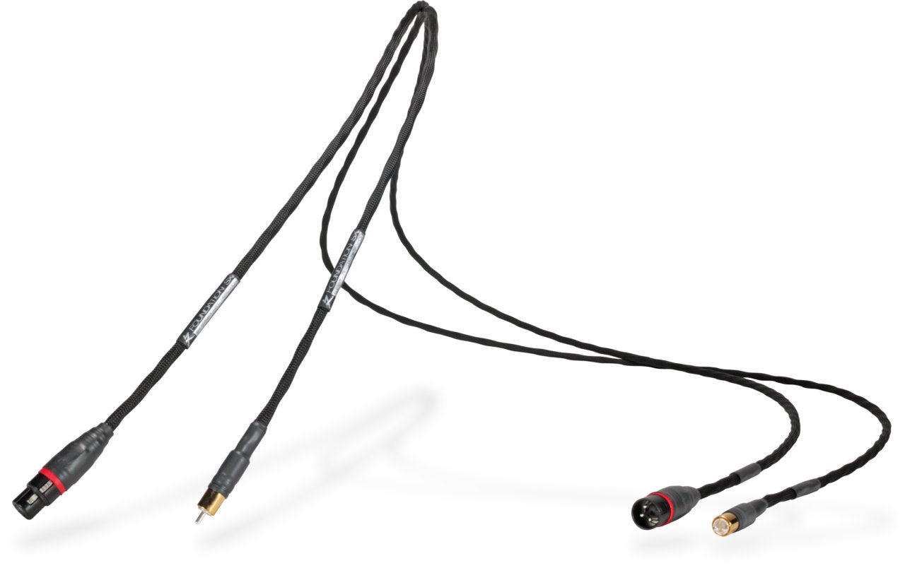 Foundation SX Interconnect Cable