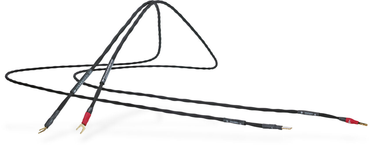 Foundation SX Speaker Cable