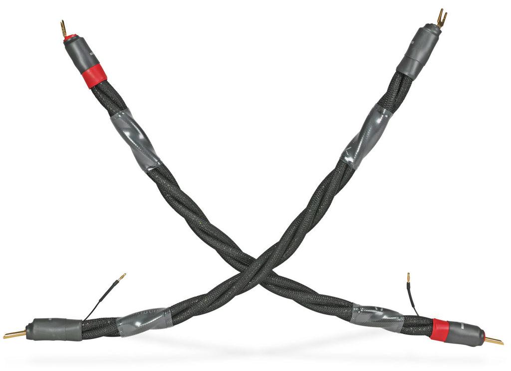 Galileo Discovery Speaker Cable