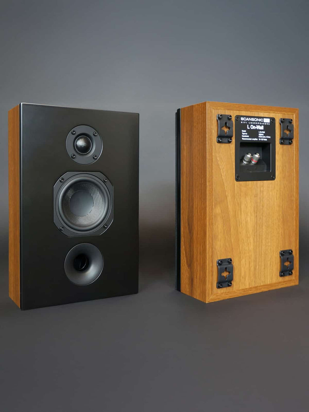 Scansonic L On-Wall Multipurpose Loudspeaker