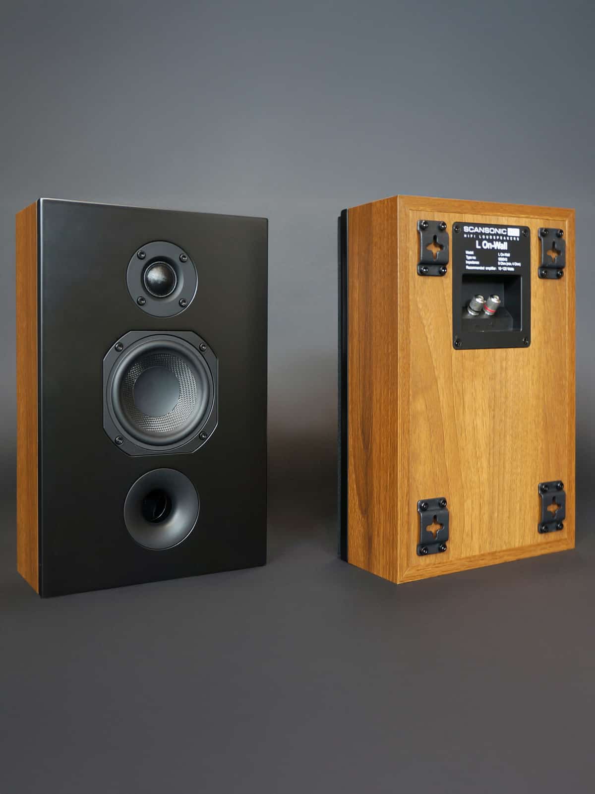 Scansonic L On-Wall Multipurpose Loudspeaker